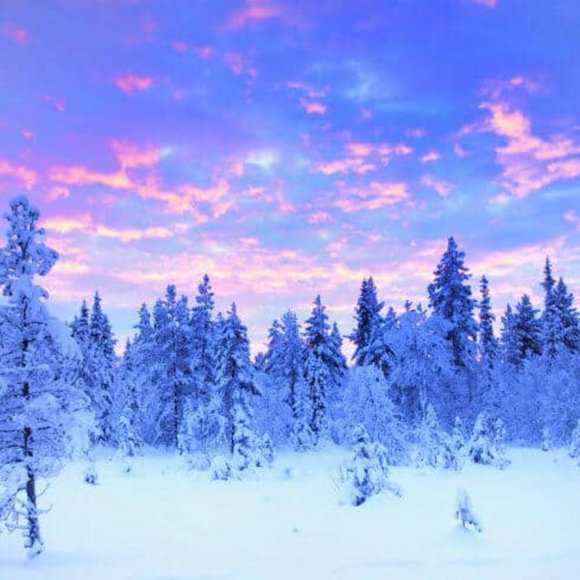 Meet your Posher, Natalie - Picture 1 of 2